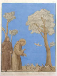 Saint Francis forkynner for fuglene